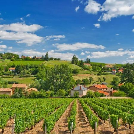 T2 Tout Equipe Au Beau Milieu Du Centre Historique Lägenhet Villefranche-sur-Saône Exteriör bild