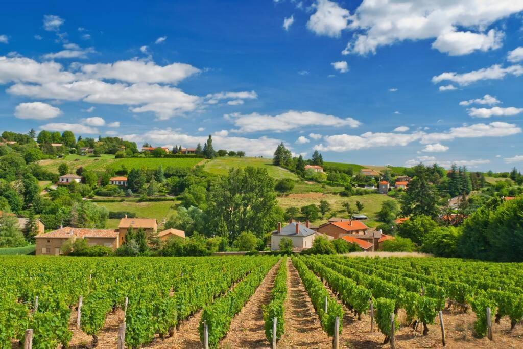 T2 Tout Equipe Au Beau Milieu Du Centre Historique Lägenhet Villefranche-sur-Saône Exteriör bild